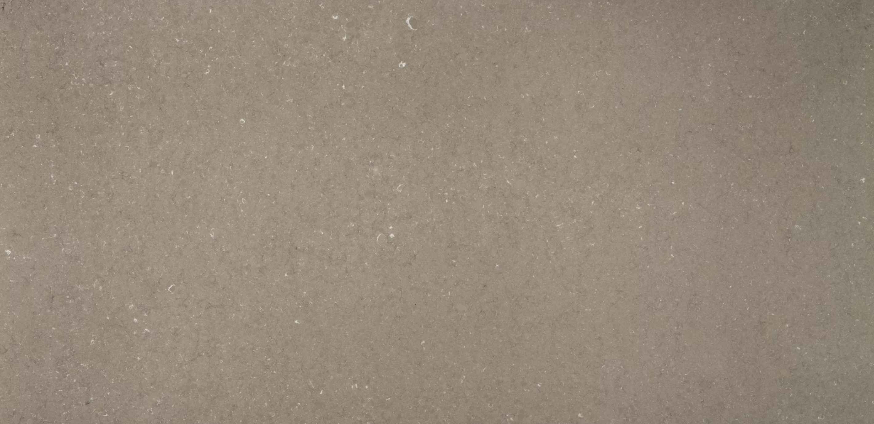Coral Clay